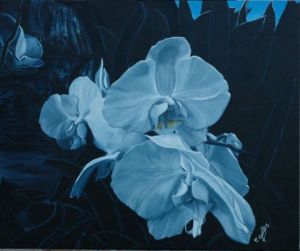 Voir le détail de cette oeuvre: orchidées noire blanche